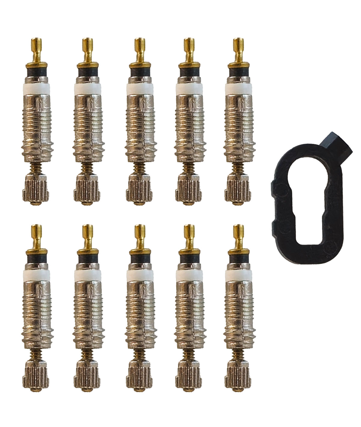 Kit 10 nuclei valvola presta