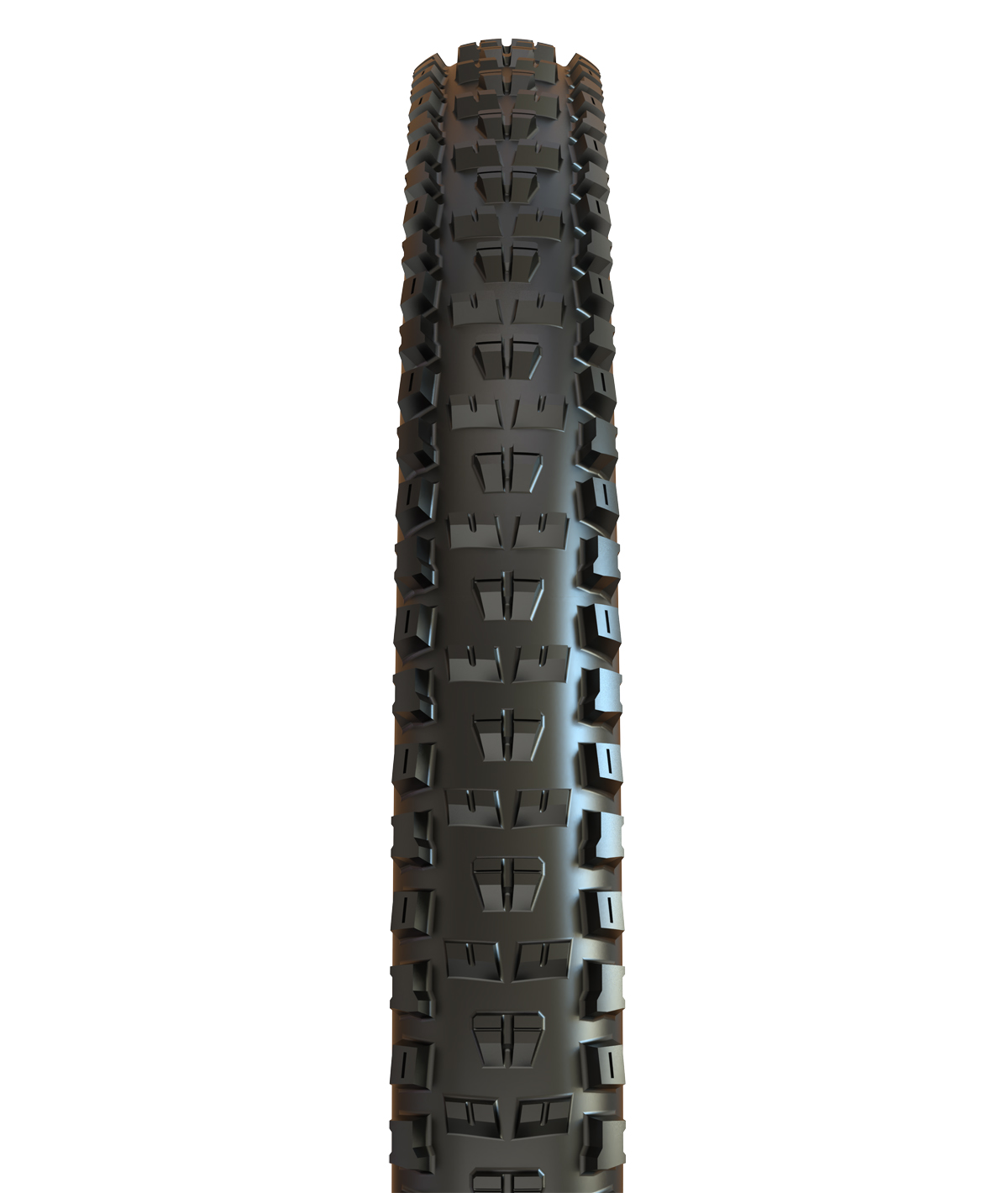 High Roller II 26x2.40 EXO 60TPI pieghevole 60a