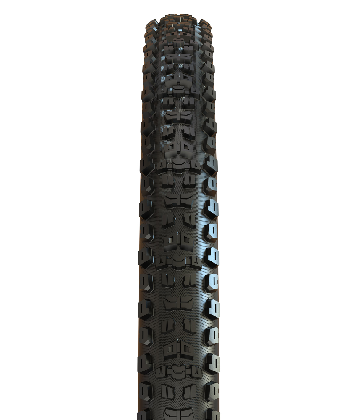 Aggressor 27,5x2.50WT EXO TR 60TPI pieghevole