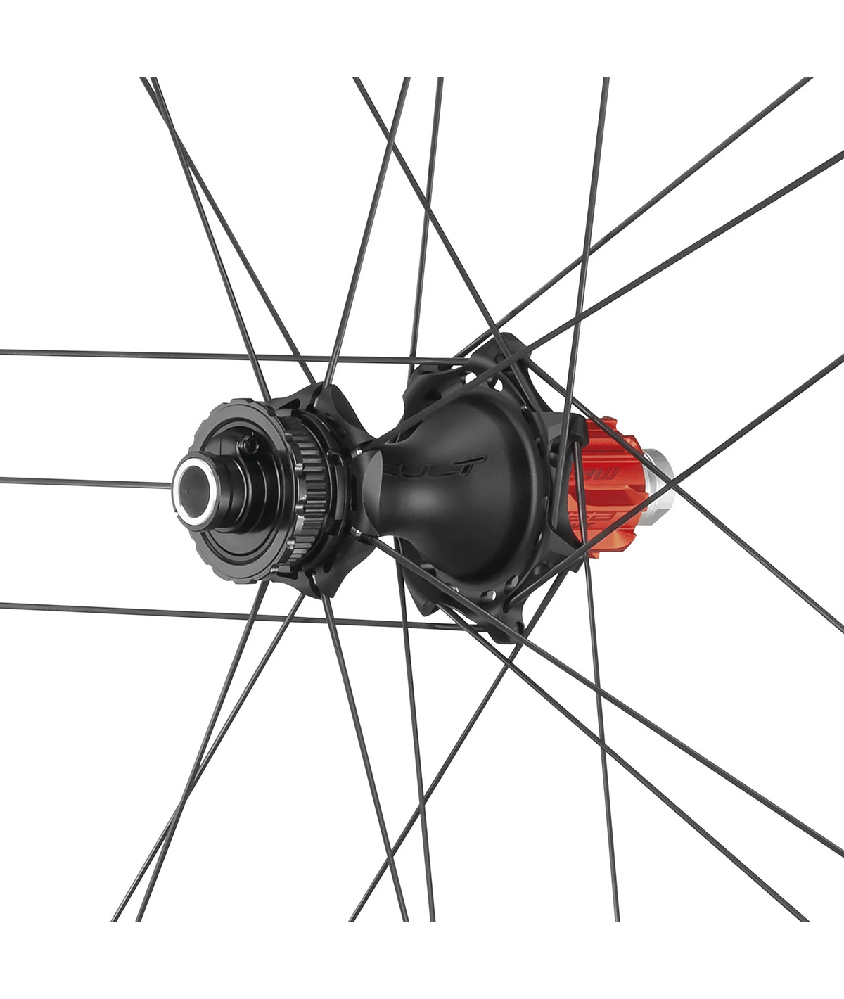Bora Ultra WTO 45 DB 2-Way Fit C23 OPACA Campy N3W