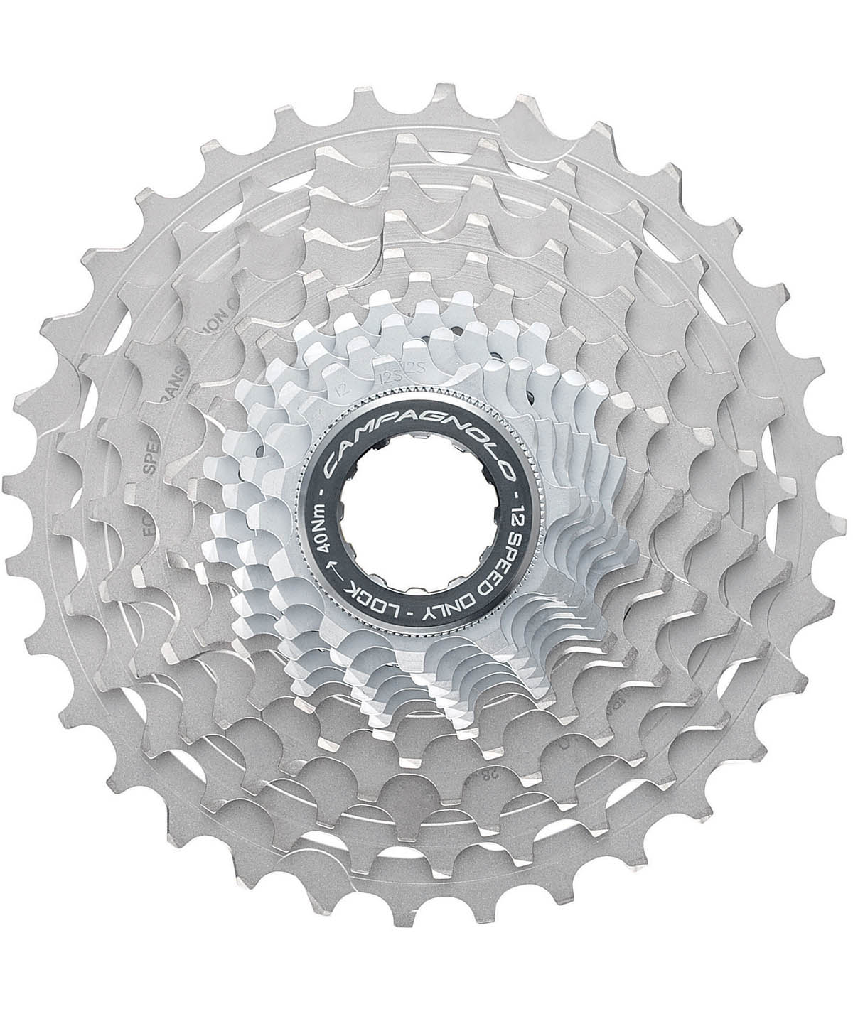 Pignoni Campagnolo Record/Super Record 12v.