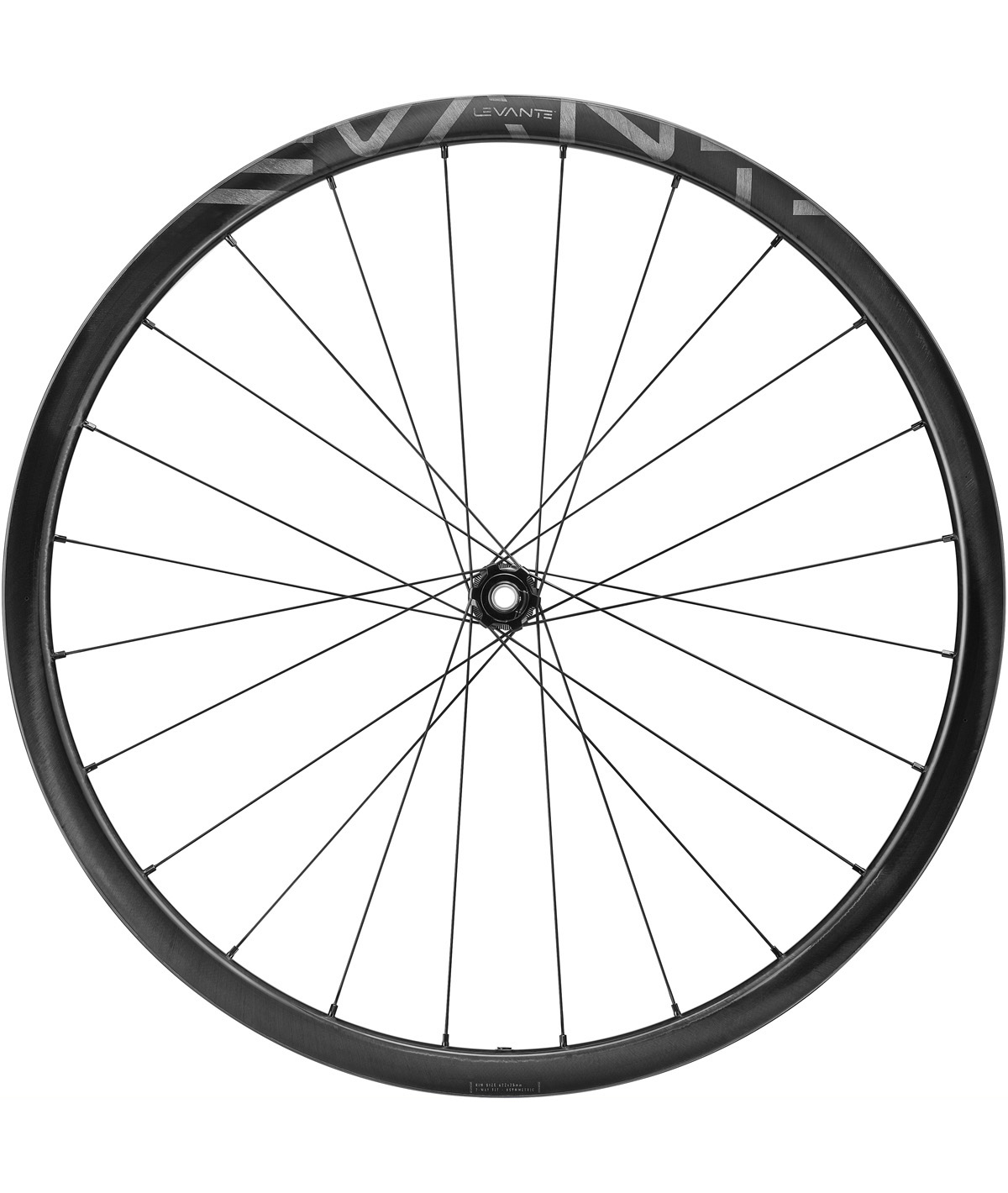 Ruote Campagnolo Levante 700C