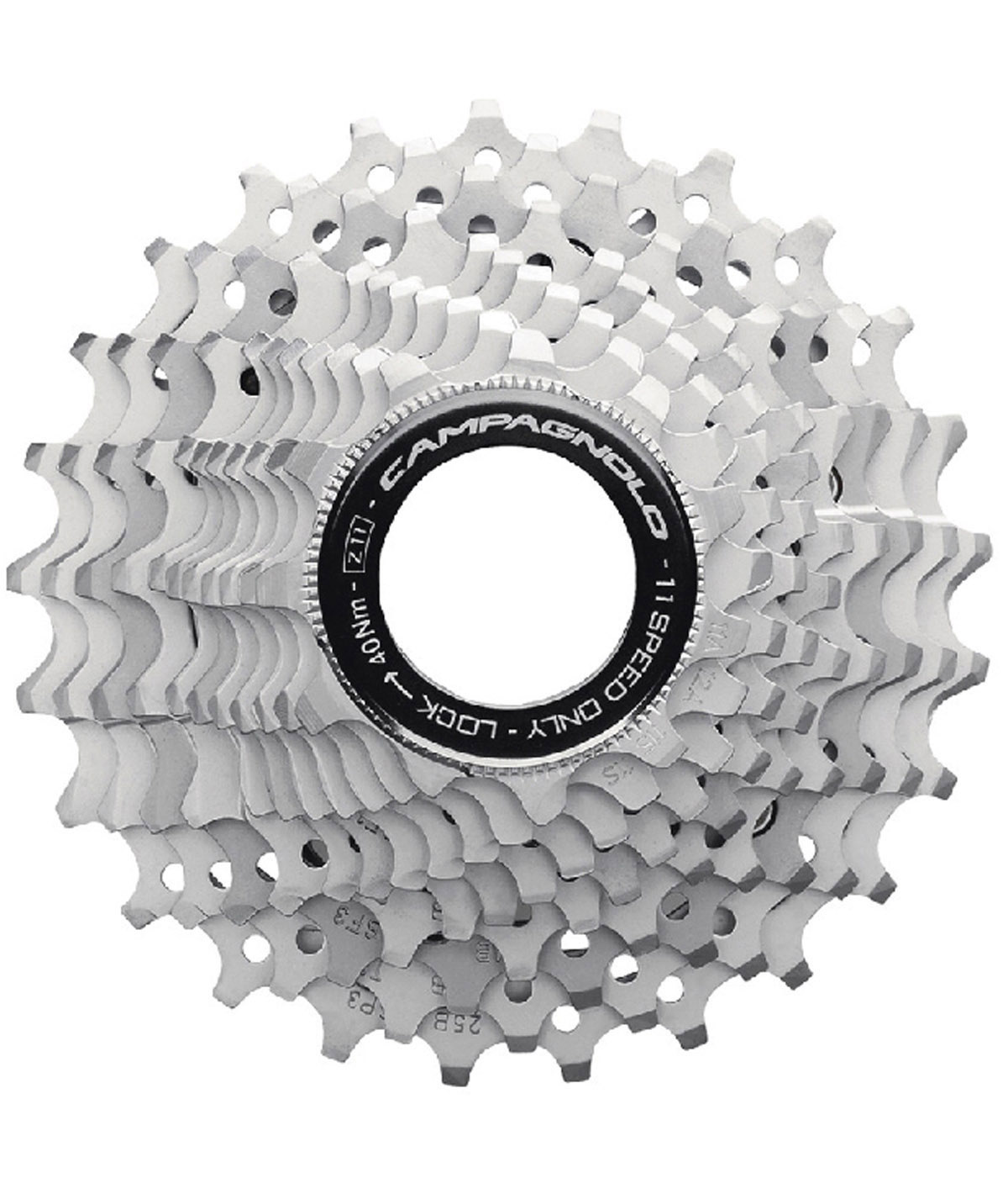 Pignoni Campagnolo Chorus 11v.