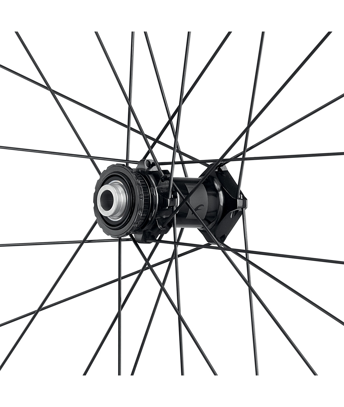 Soniq GR DB 2-Way Fit Campy N3W C30 AFS ant HH12 - post HH12/1GR +kit adattatore N3W 11/12v. e valvola 2WF