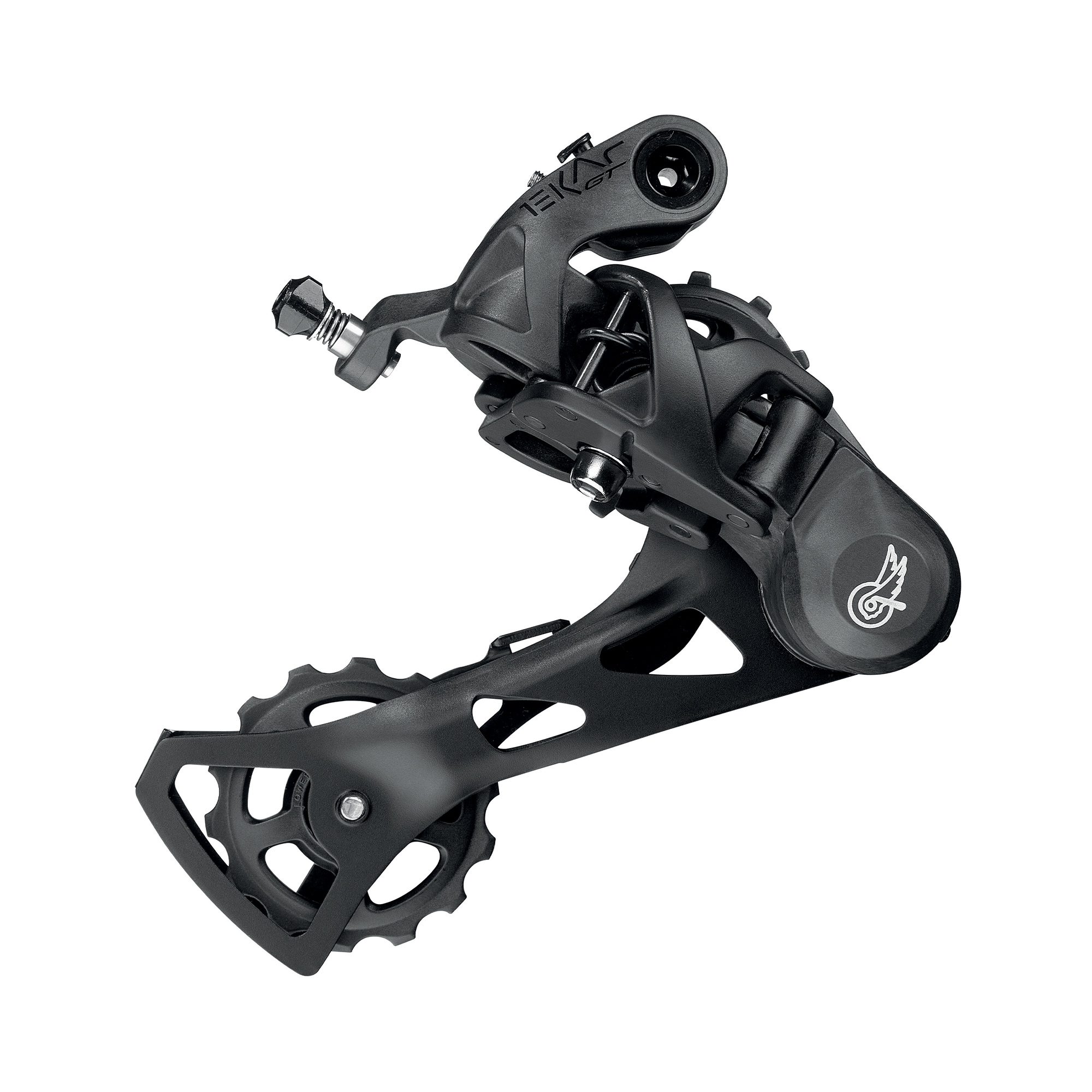 Cambio Campagnolo Ekar GT 13v.