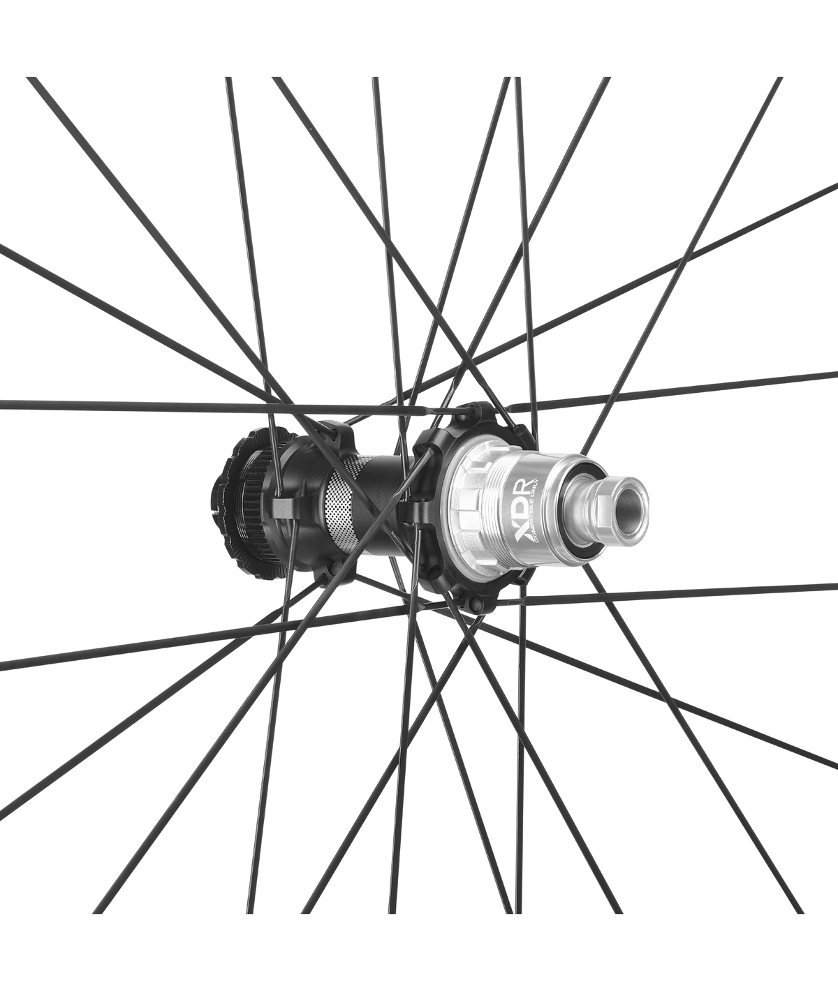 Sharq GR DB 2-Way Fit Campy N3W C30 AFS ant HH12 - post HH12/142 HG - USB +kit adattatore N3W 11/12v. e valvola 2WF thumbnail